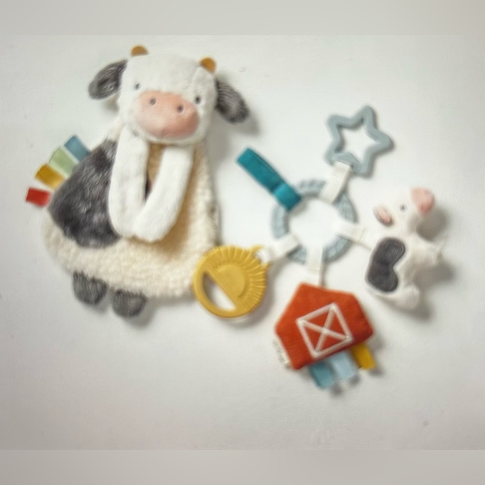 Bitzy Busy Gift Set by Itzy Ritzy